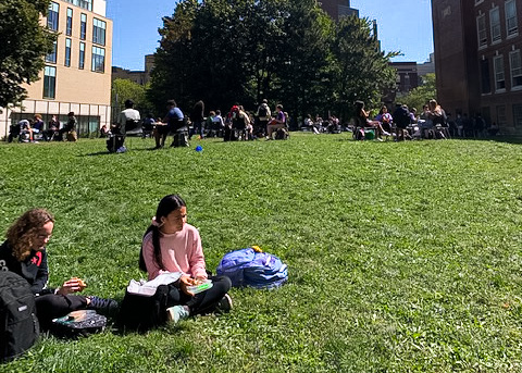 Students enjoy their lunches in a more COVID-safe outdoor setting. (Source: Regina Chiem (I))