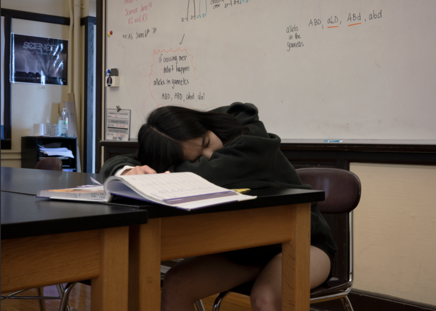 BLS student falls asleep during  aclass period.  (Source: Alex Le (IV))