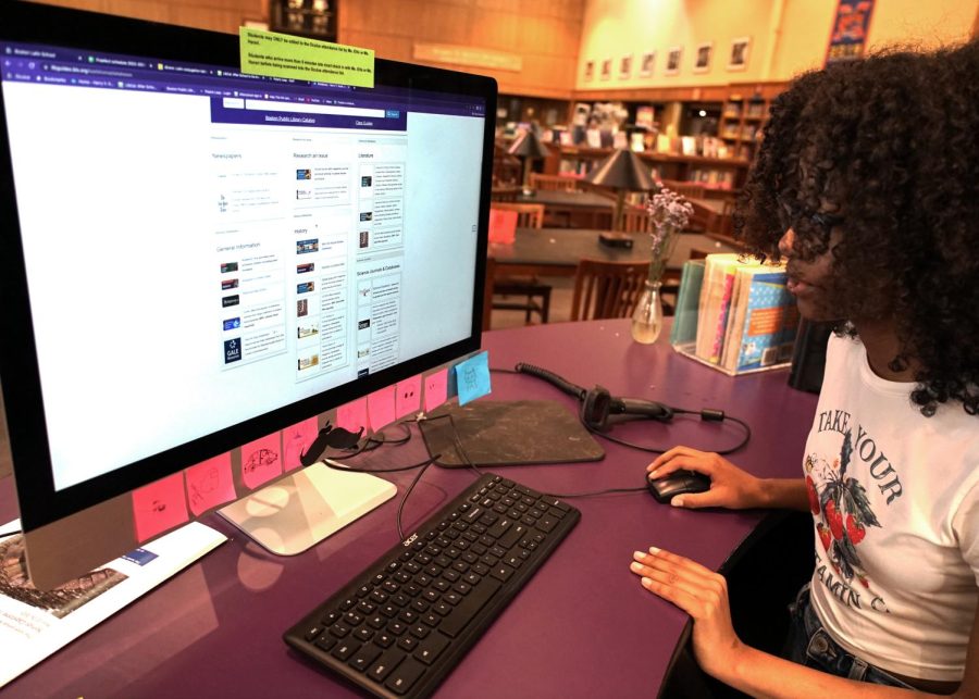 A student uses online databases as resources for school projects.  (Source: Christian Le (III))