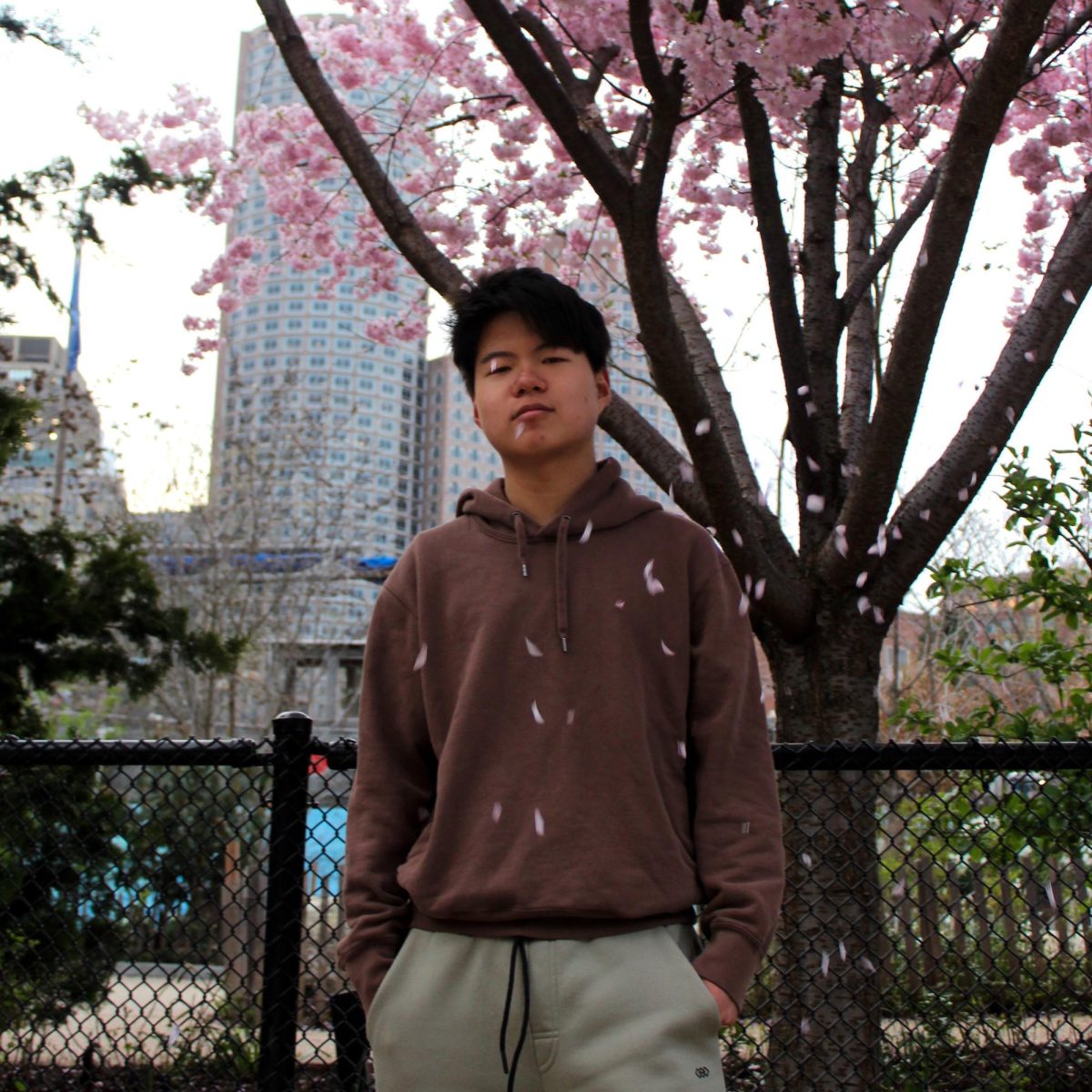 Spotlight on Zach Chen (I)