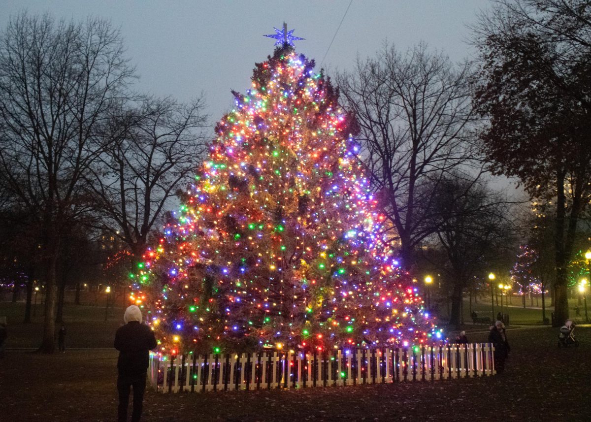 Boston Common’s annual Christmas tree lights up the city. (Source: Vicky Su (II))