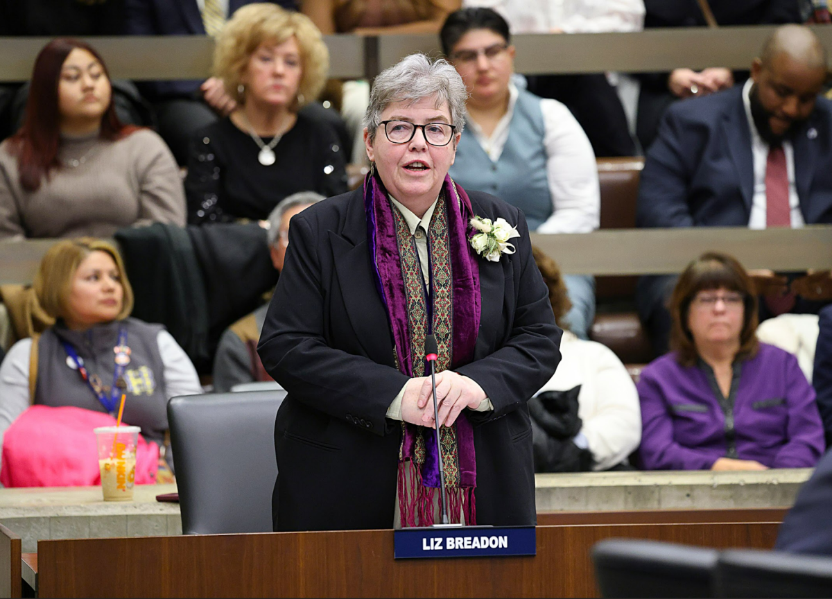 Liz Breadon wins the Boston City Council presidency. (Source: Suzanne Kreiterv)